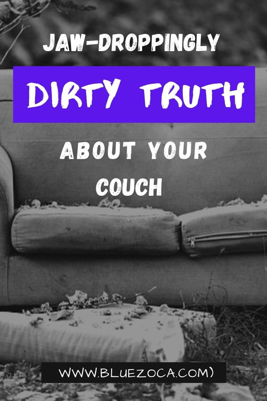 Jaw-Droppingly Dirty Truth About Your Couch